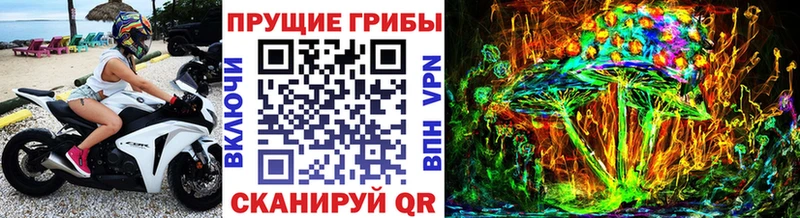 кракен как войти  Иноземцево  Псилоцибиновые грибы Psilocybe  купить наркотик 